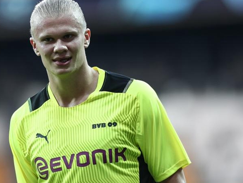 并非一句 并非一句